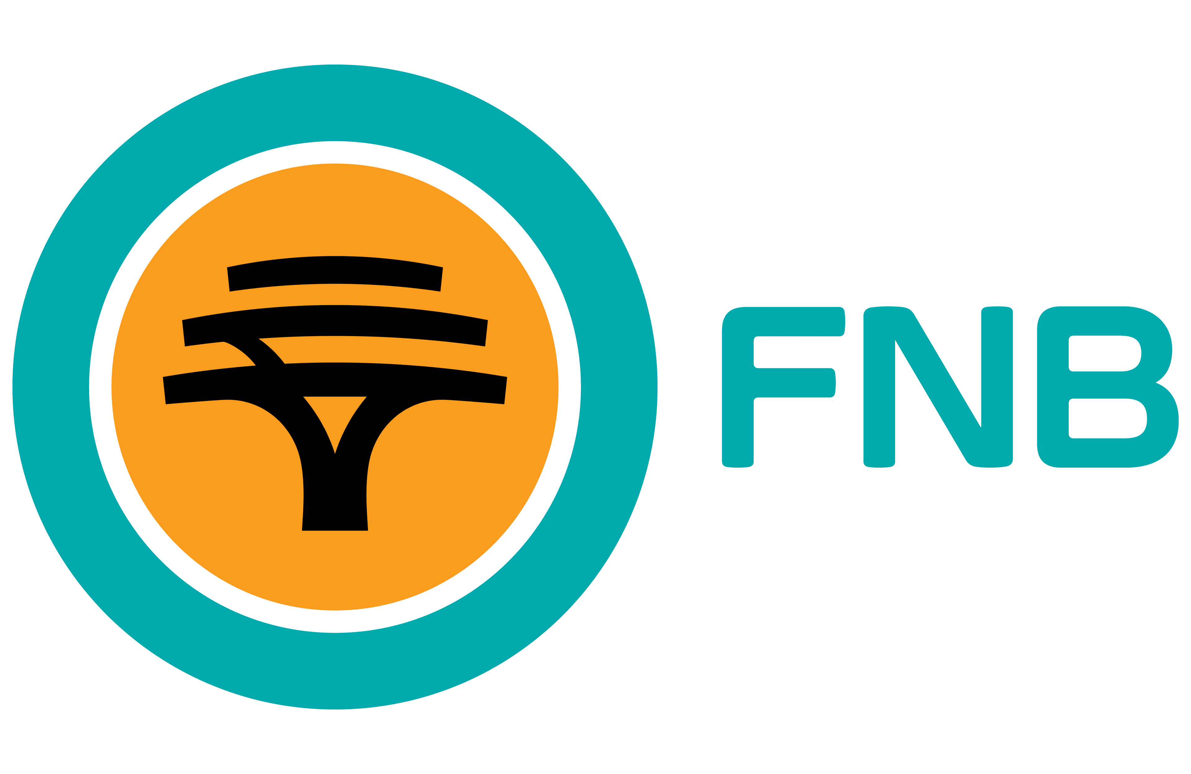 FNB logo